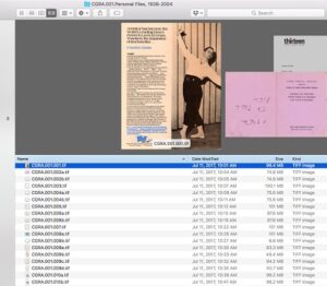 At the top a newspaper clipping and at the bottom a list of filenames with one selected.