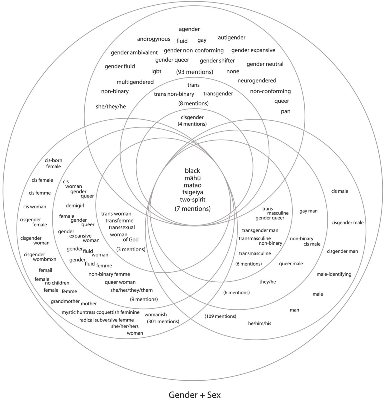 Image description in caption.